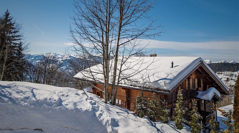 Chalet Susabel Outisde View With Trees