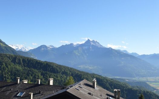 Le President Appt 8, 175 Avenue Centrale 1884 Villars sur Ollon